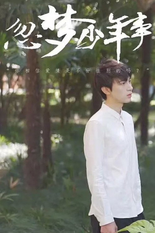 忽梦少年事 封面