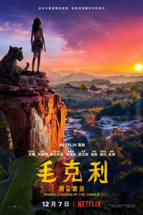 森林之子毛克利 封面