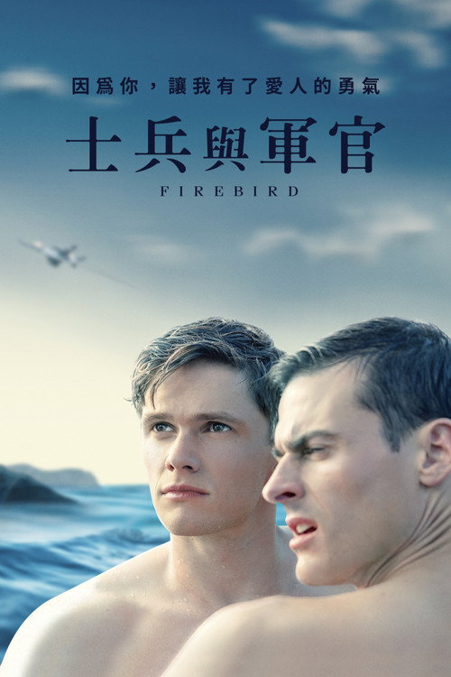 浴火鸟 封面