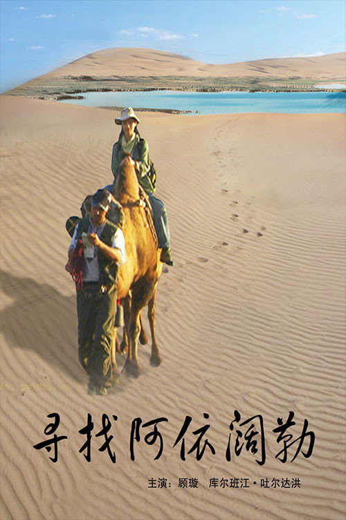 寻找阿依阔勒 封面