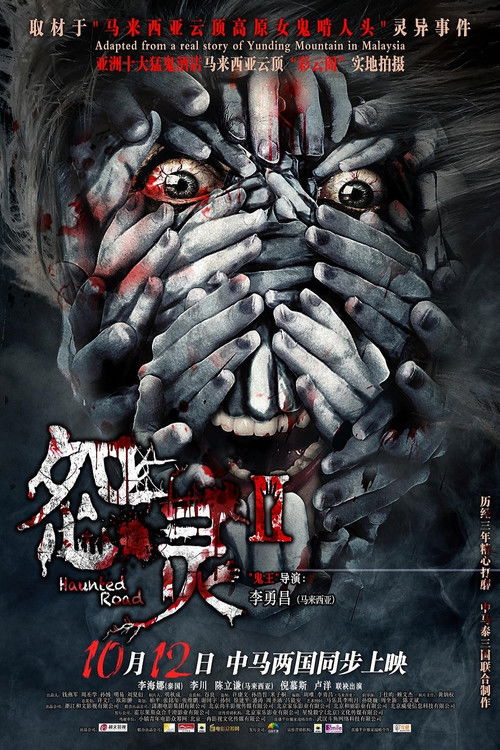 怨灵2 封面