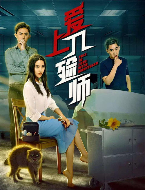 爱上入殓师 封面