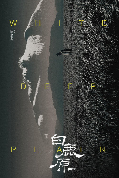 白鹿原 封面