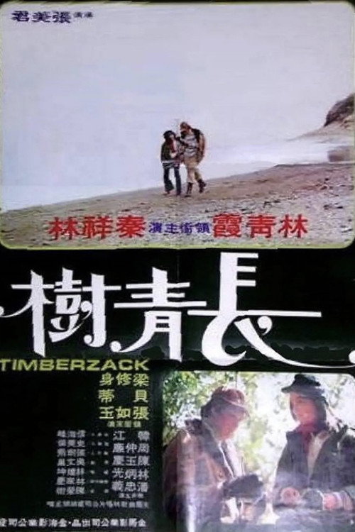 長青樹 封面