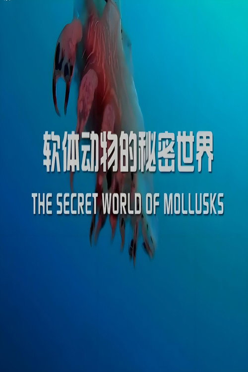软体动物的秘密世界 封面