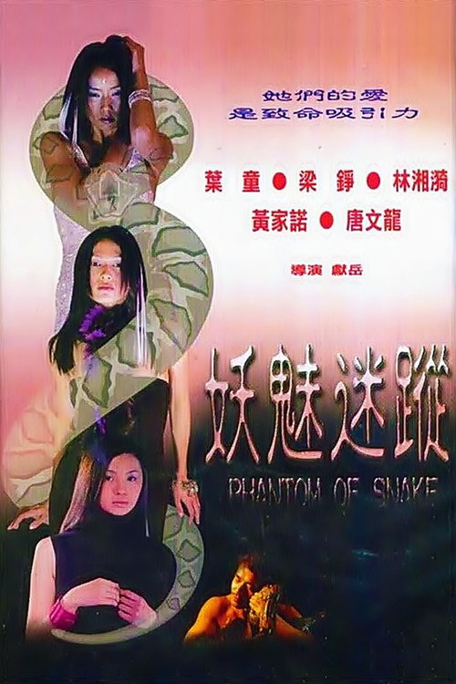 妖魅迷蹤 封面