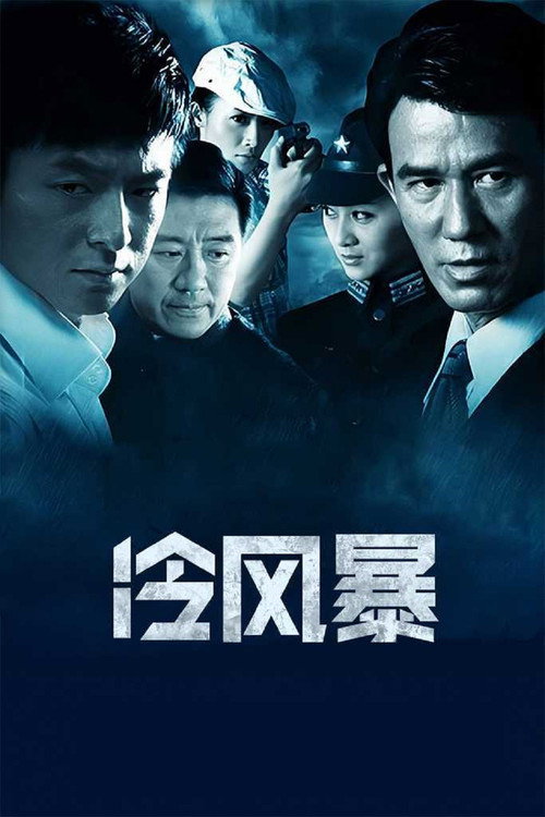 冷风暴 封面