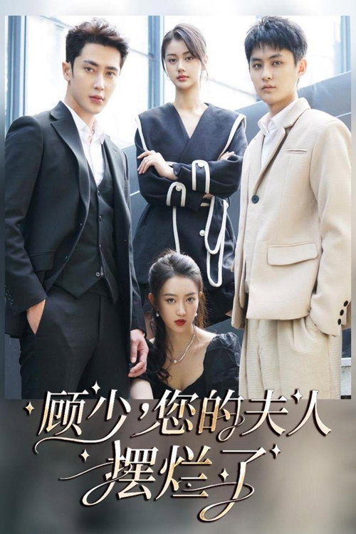 顾少，您的夫人摆烂了 封面