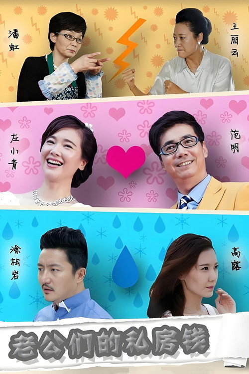 老公们的私房钱 封面