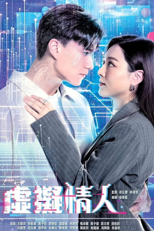 虚拟情人 封面