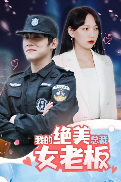 我的绝美总裁女老板 封面