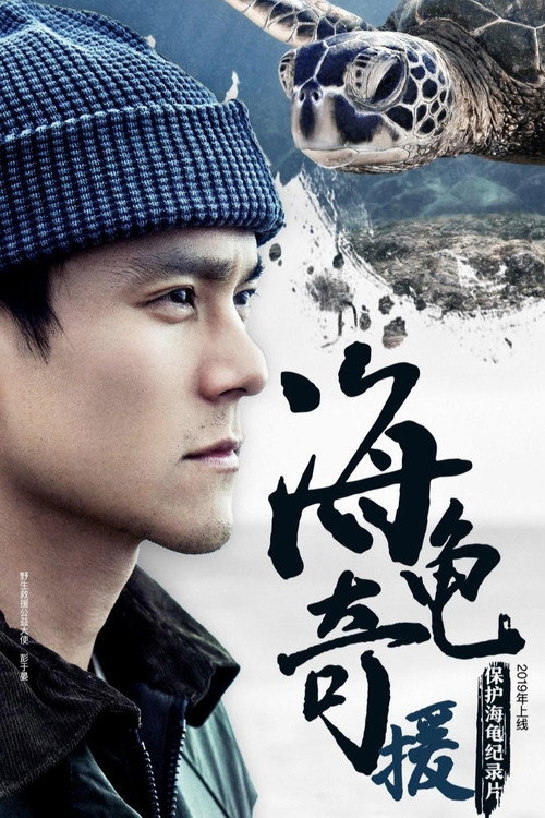 海龟奇援 封面