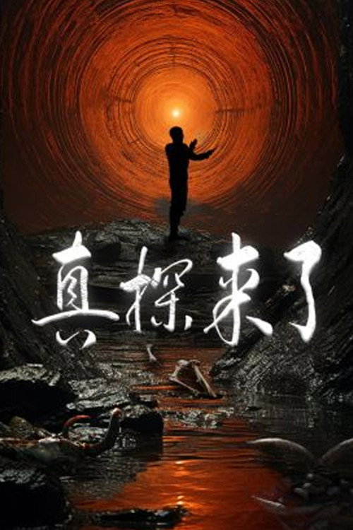 真探来了 封面