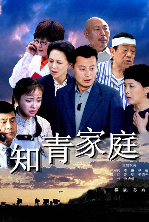 知青家庭 封面