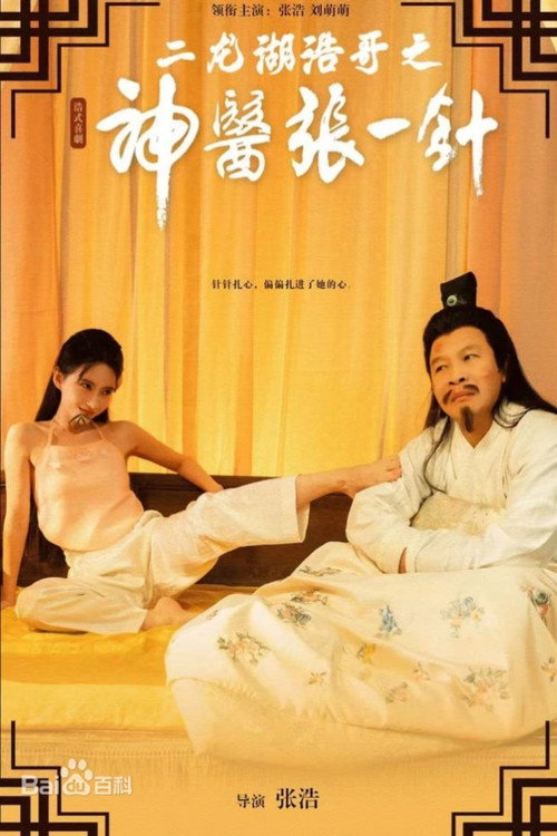 二龙湖浩哥之神医张一针 封面