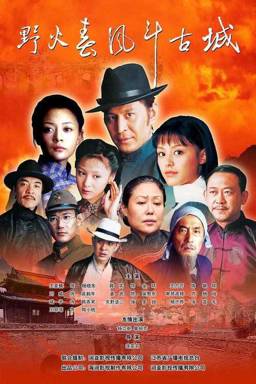 野火春风斗古城 封面