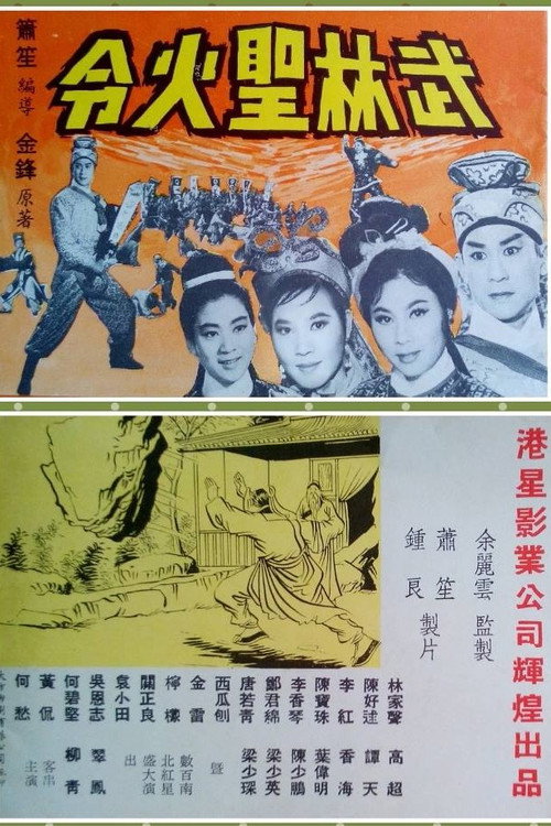 武林聖火令大結局 封面