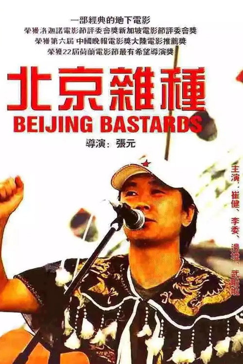 北京杂种 封面