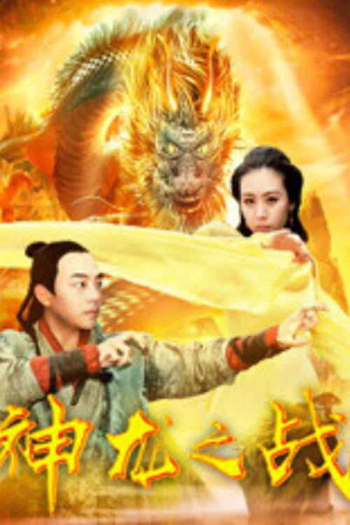 神龙之战 封面