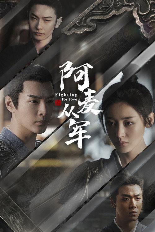 阿麦从军 封面