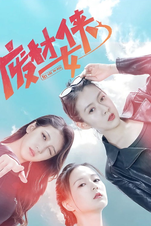 废柴女侠 封面