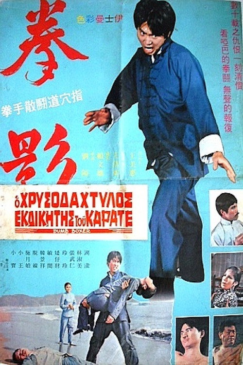 拳影 封面