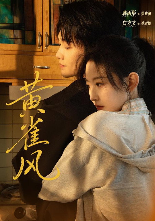 黄雀风 封面