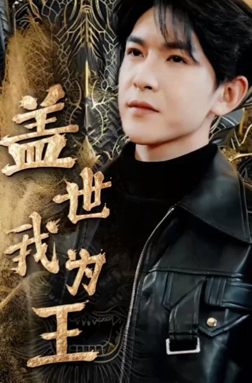 盖世我为王 封面