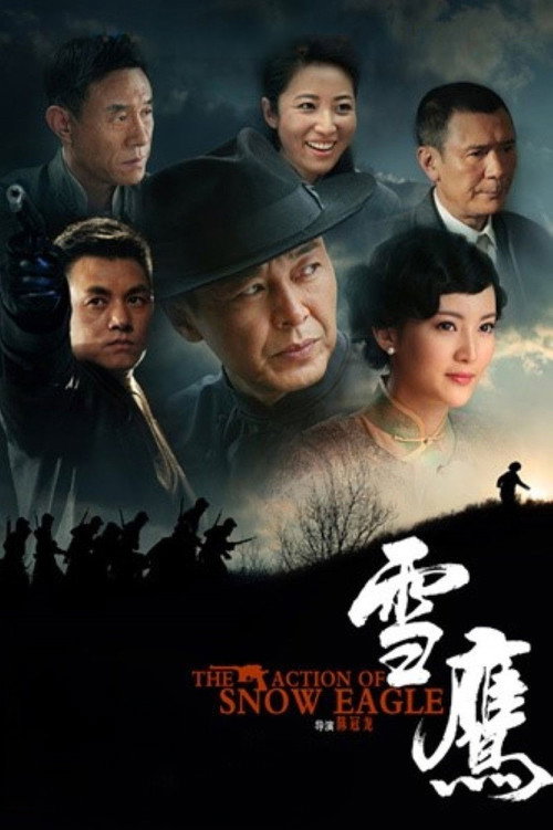 雪鹰 封面