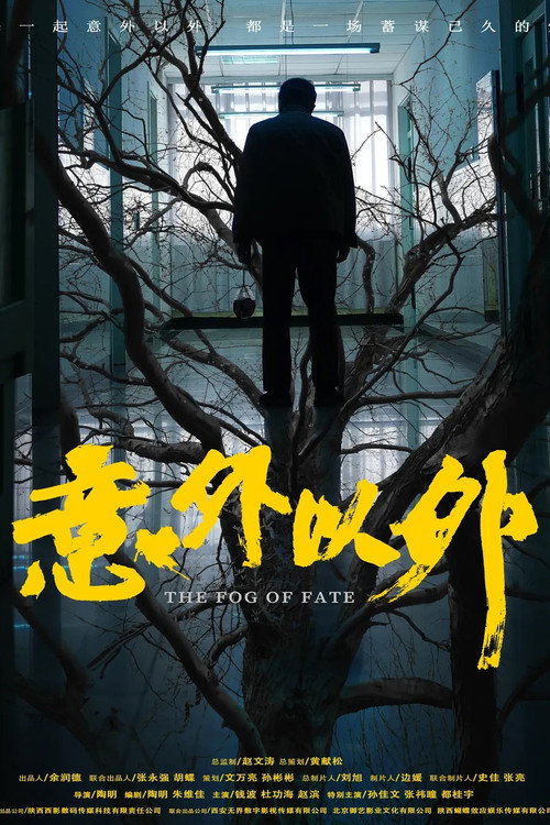 意外以外 封面