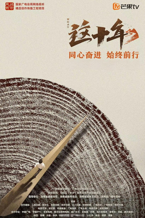 这十年 封面