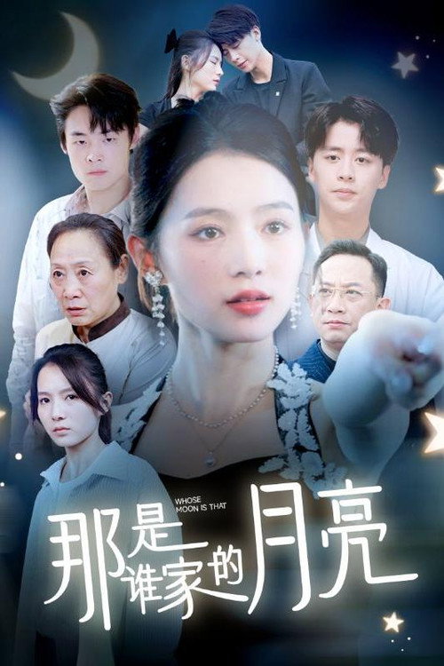 那是谁家的月亮 封面