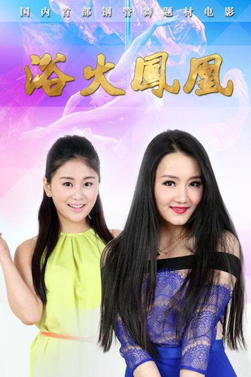 浴火凤凰 封面