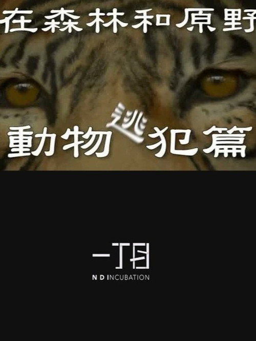 在森林和原野-動物逃犯篇 封面