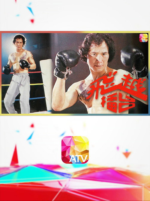 飞越擂台 封面