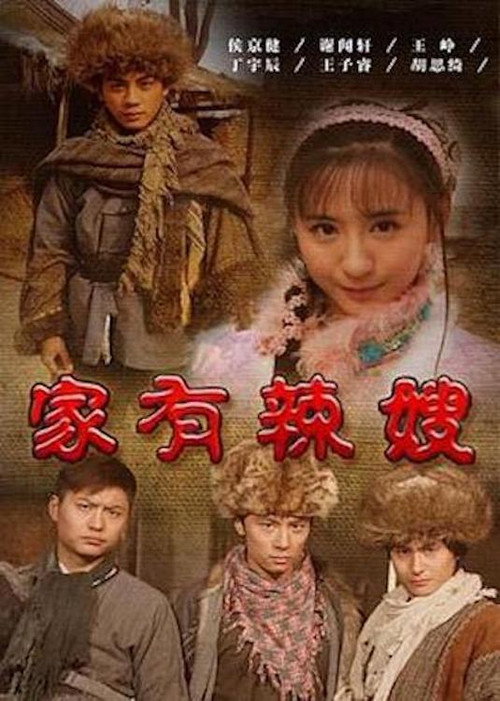 家有辣嫂 封面