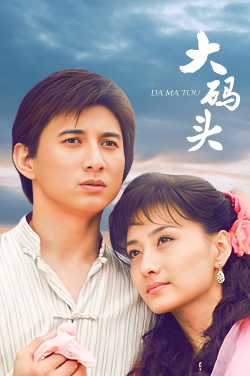大码头 封面