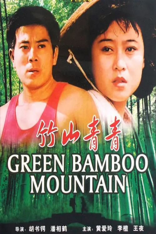 竹山青青 封面
