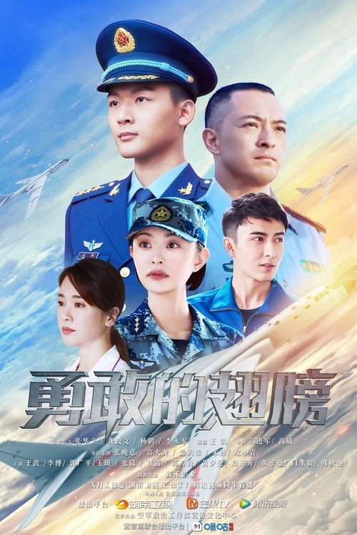 勇敢的翅膀 封面