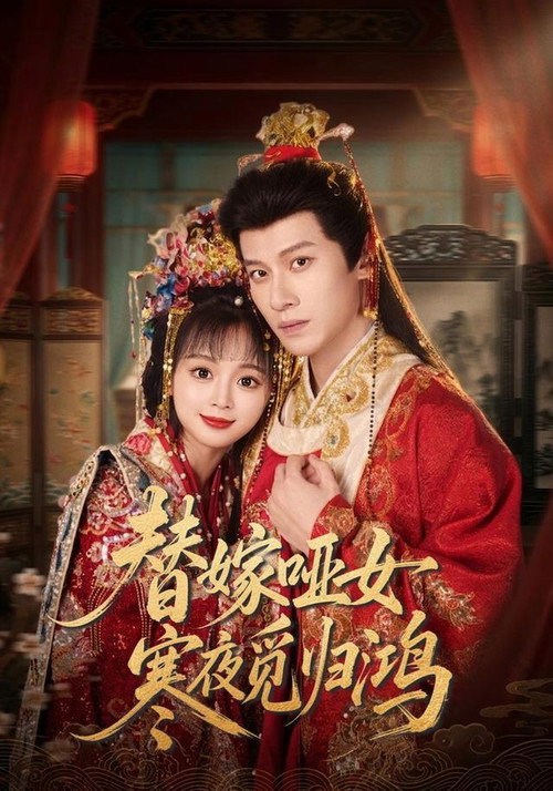 替嫁哑女寒夜觅归鸿 封面
