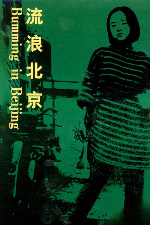 流浪北京 封面