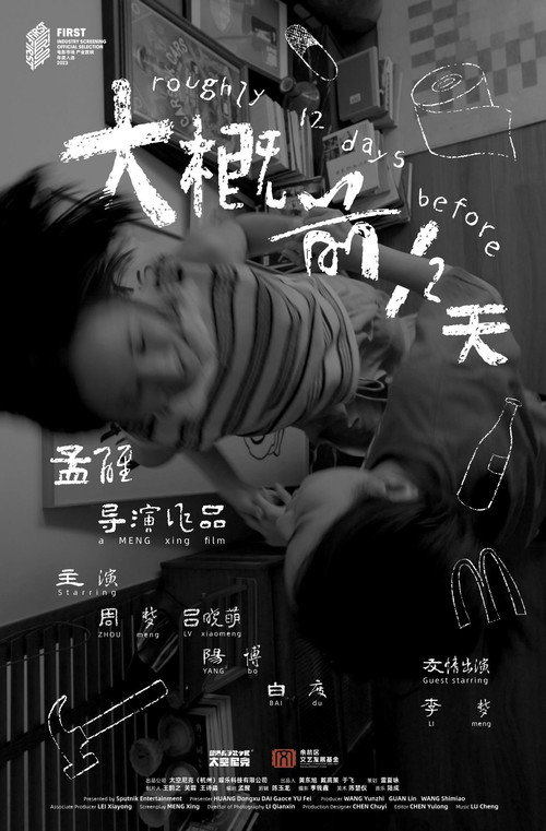 大概前12天 封面