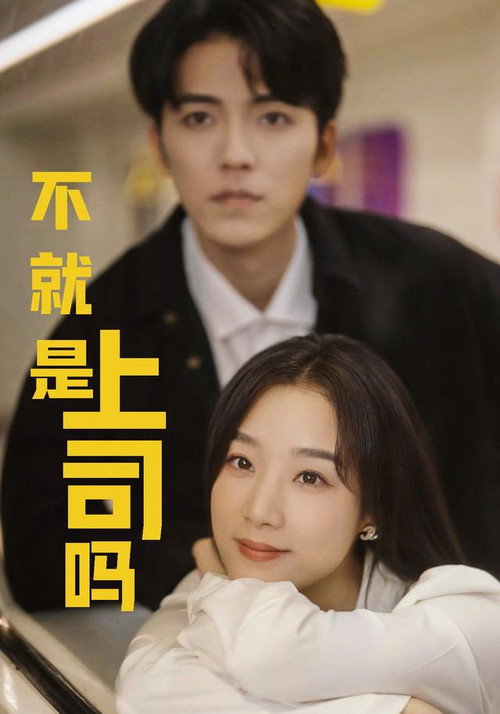 不就是上司吗 封面