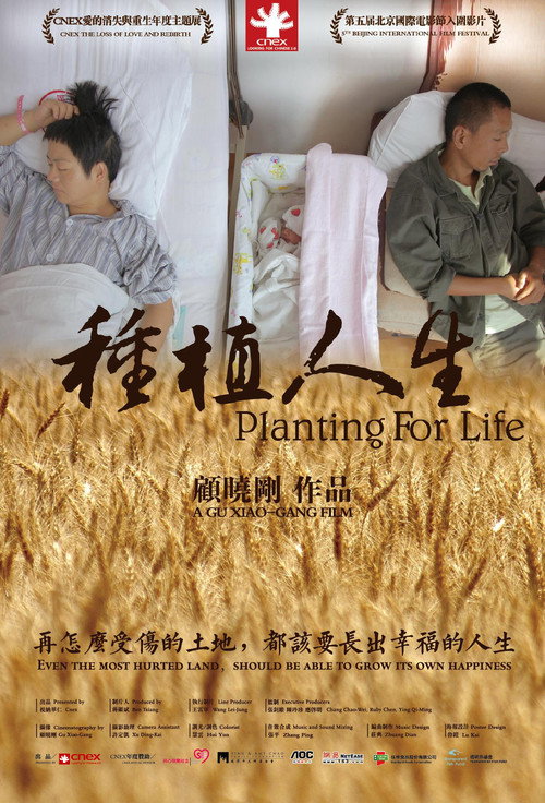 种植人生 封面