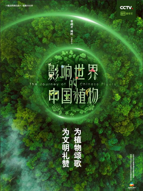 影响世界的中国植物 封面