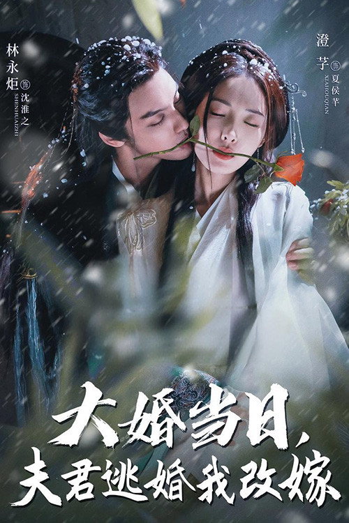 大婚当日夫君逃婚我改嫁 封面