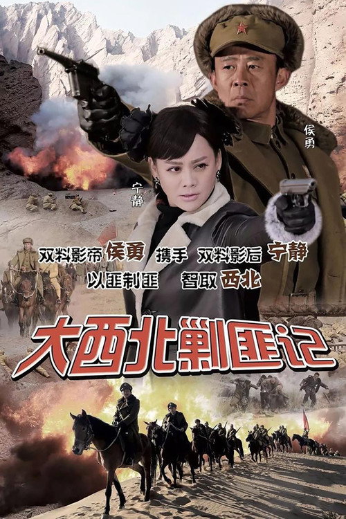 大西北剿匪记 封面