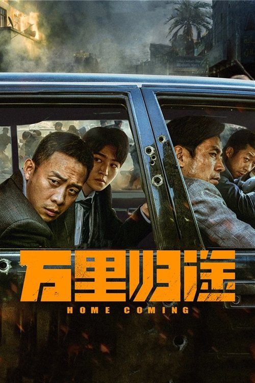 万里归途 封面