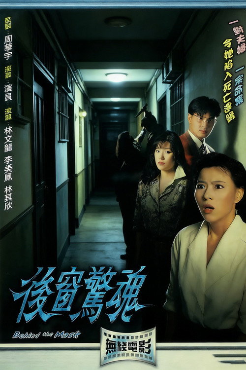 后窗惊魂 封面