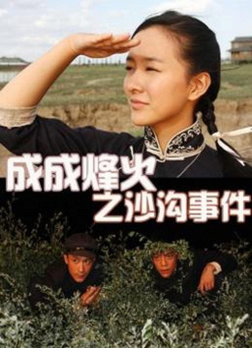 成成烽火之沙沟事件 封面